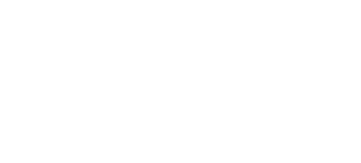 NOORDLEEV Logo
